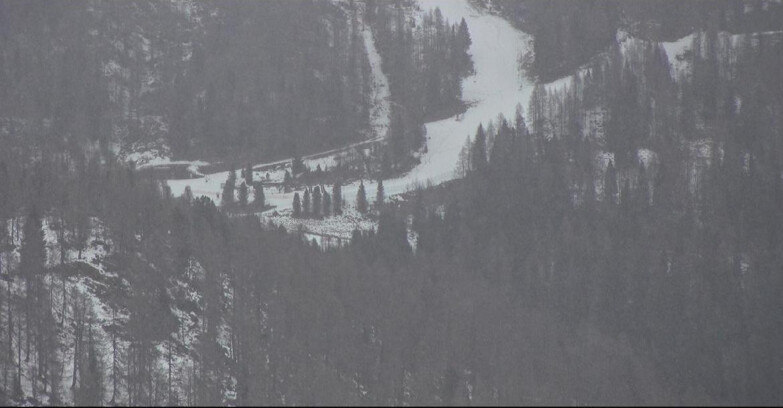 Webcam Сан-Мартино-ди-Кастроцца - Пассо-Ролле - Ces - Malga Valcigolera