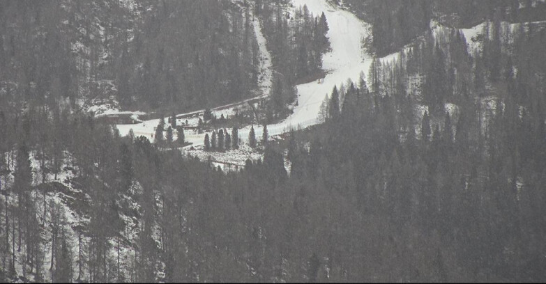 Webcam Сан-Мартино-ди-Кастроцца - Пассо-Ролле - Ces - Malga Valcigolera