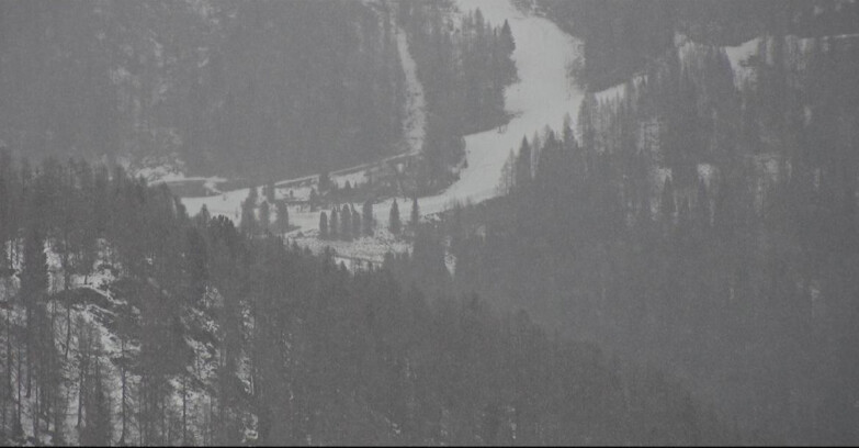 Webcam Сан-Мартино-ди-Кастроцца - Пассо-Ролле - Ces - Malga Valcigolera