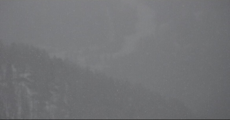 Webcam Сан-Мартино-ди-Кастроцца - Пассо-Ролле - Ces - Malga Valcigolera