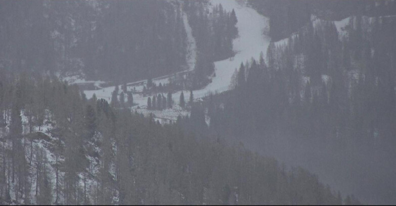 Webcam Сан-Мартино-ди-Кастроцца - Пассо-Ролле - Ces - Malga Valcigolera