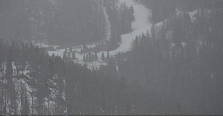 Webcam Сан-Мартино-ди-Кастроцца - Пассо-Ролле - Ces - Malga Valcigolera