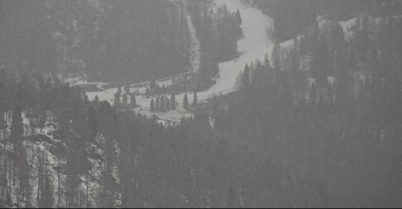 Webcam Сан-Мартино-ди-Кастроцца - Пассо-Ролле - Ces - Malga Valcigolera