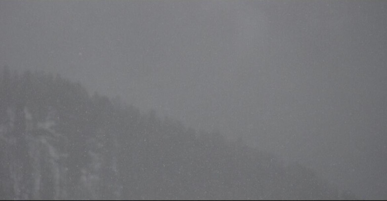 Webcam San Martino di Castrozza - Passo Rolle - Ces - Malga Valcigolera