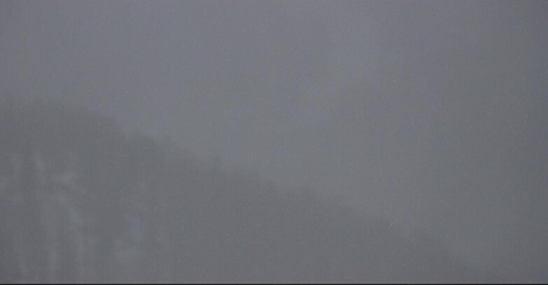 Webcam San Martino di Castrozza - Passo Rolle - Ces - Malga Valcigolera