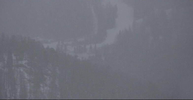 Webcam San Martino di Castrozza - Passo Rolle - Ces - Malga Valcigolera