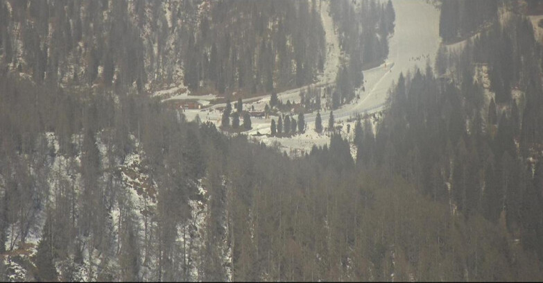 Webcam San Martino di Castrozza - Passo Rolle - Ces - Malga Valcigolera