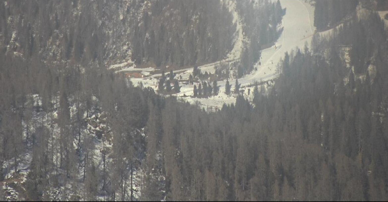 Webcam San Martino di Castrozza - Passo Rolle - Ces - Malga Valcigolera