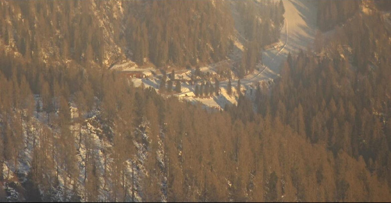 Webcam San Martino di Castrozza - Passo Rolle - Ces - Malga Valcigolera