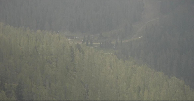 Webcam San Martino di Castrozza - Passo Rolle  - Ces - Malga Valcigolera