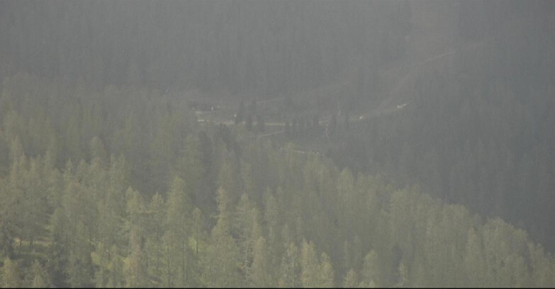 Webcam San Martino di Castrozza - Passo Rolle  - Ces - Malga Valcigolera