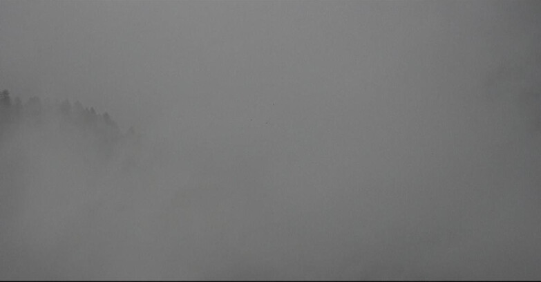 Webcam San Martino di Castrozza - Passo Rolle - Ces - Malga Valcigolera