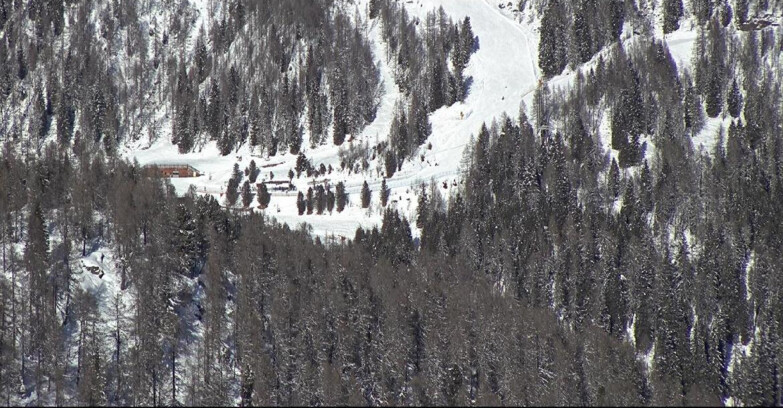Webcam San Martino di Castrozza - Passo Rolle  - Ces - Malga Valcigolera