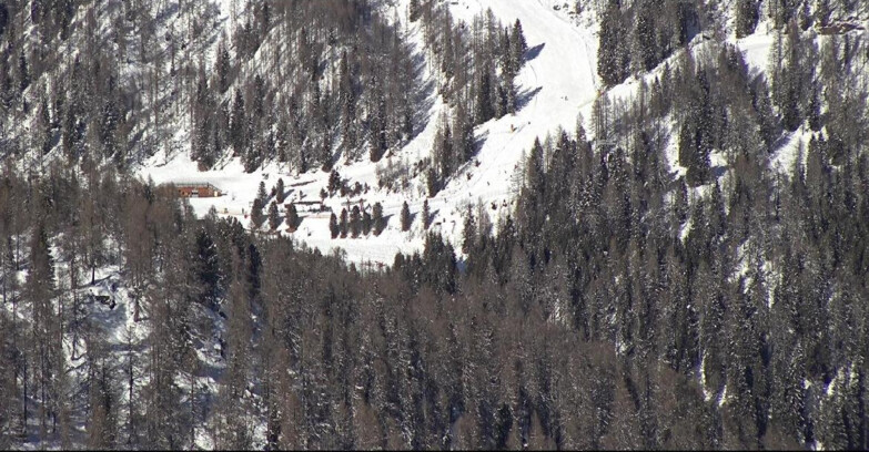 Webcam San Martino di Castrozza - Passo Rolle  - Ces - Malga Valcigolera