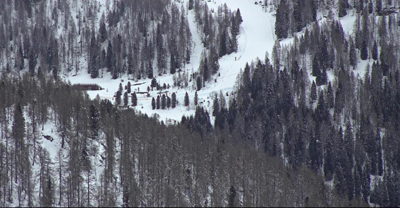 Webcam San Martino di Castrozza - Passo Rolle  - Ces - Malga Valcigolera