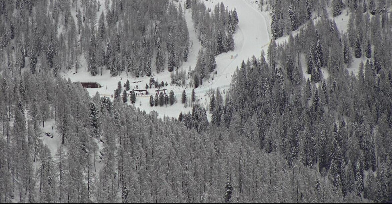 Webcam San Martino di Castrozza - Passo Rolle - Ces - Malga Valcigolera