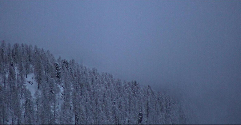 Webcam San Martino di Castrozza - Passo Rolle - Ces - Malga Valcigolera
