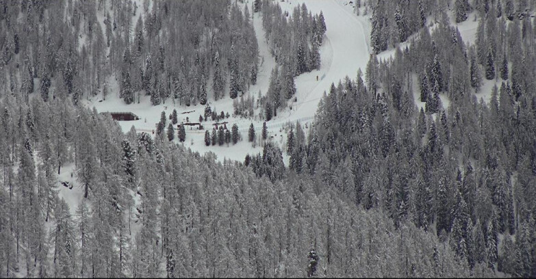 Webcam San Martino di Castrozza - Passo Rolle - Ces - Malga Valcigolera