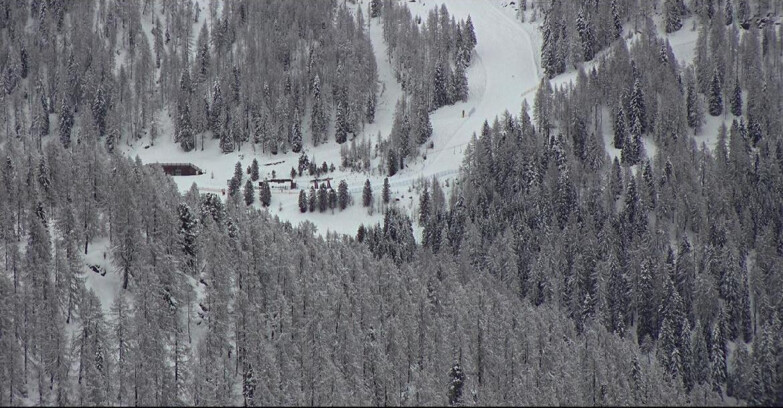 Webcam San Martino di Castrozza - Passo Rolle - Ces - Malga Valcigolera
