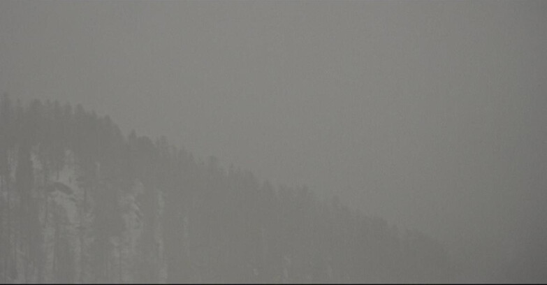 Webcam San Martino di Castrozza - Passo Rolle - Ces - Malga Valcigolera