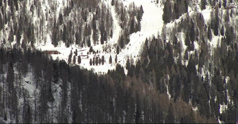 Webcam San Martino di Castrozza - Passo Rolle - Ces - Malga Valcigolera