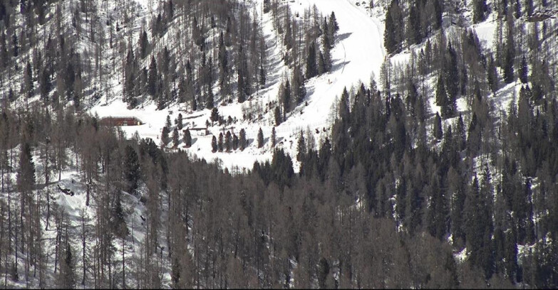 Webcam San Martino di Castrozza - Passo Rolle - Ces - Malga Valcigolera
