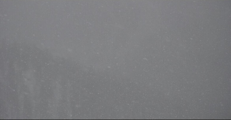 Webcam Сан-Мартино-ди-Кастроцца - Пассо-Ролле - Ces - Malga Valcigolera