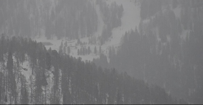 Webcam Сан-Мартино-ди-Кастроцца - Пассо-Ролле - Ces - Malga Valcigolera