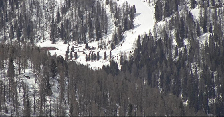 Webcam Сан-Мартино-ди-Кастроцца - Пассо-Ролле - Ces - Malga Valcigolera