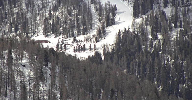 Webcam Сан-Мартино-ди-Кастроцца - Пассо-Ролле - Ces - Malga Valcigolera