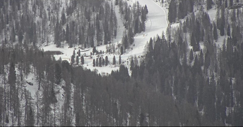 Webcam Сан-Мартино-ди-Кастроцца - Пассо-Ролле - Ces - Malga Valcigolera