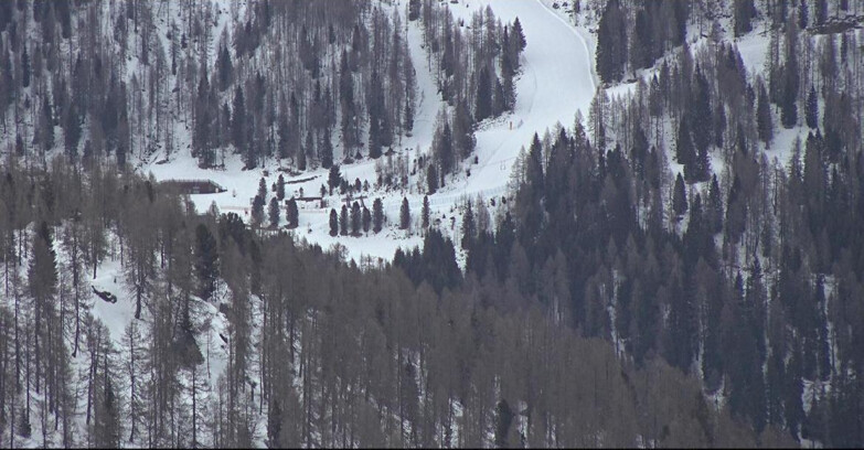 Webcam Сан-Мартино-ди-Кастроцца - Пассо-Ролле - Ces - Malga Valcigolera