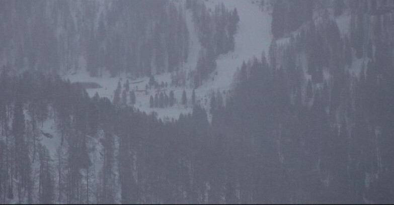 Webcam Сан-Мартино-ди-Кастроцца - Пассо-Ролле - Ces - Malga Valcigolera