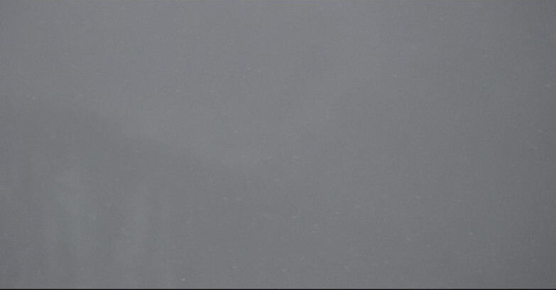 Webcam Сан-Мартино-ди-Кастроцца - Пассо-Ролле - Ces - Malga Valcigolera