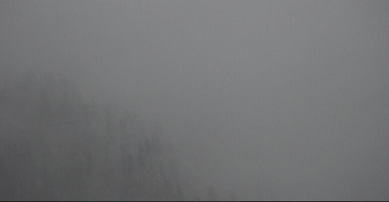 Webcam San Martino di Castrozza - Passo Rolle  - Ces - Malga Valcigolera