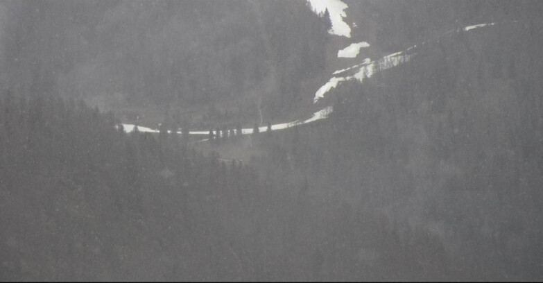 Webcam San Martino di Castrozza - Passo Rolle  - Ces - Malga Valcigolera