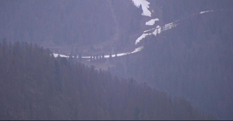 Webcam San Martino di Castrozza - Passo Rolle  - Ces - Malga Valcigolera