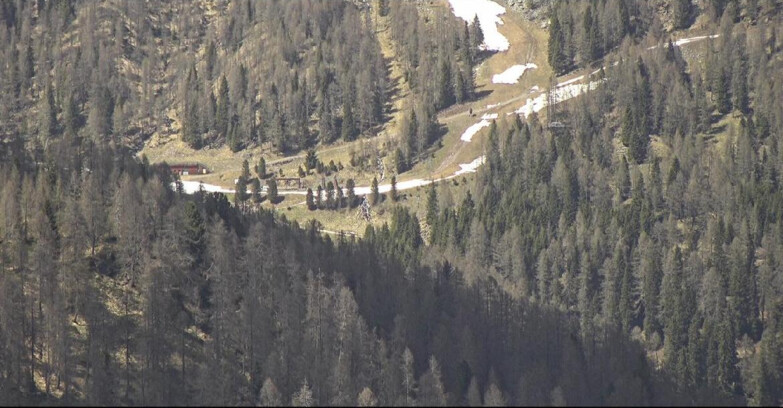 Webcam San Martino di Castrozza - Passo Rolle - Ces - Malga Valcigolera