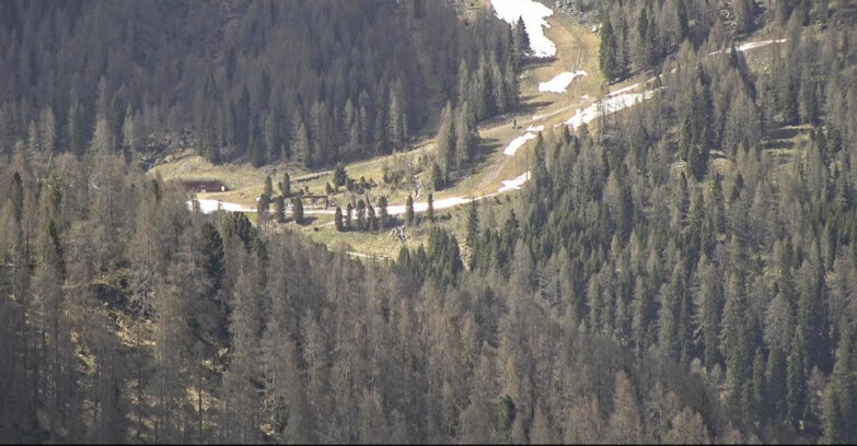 Webcam San Martino di Castrozza - Passo Rolle - Ces - Malga Valcigolera