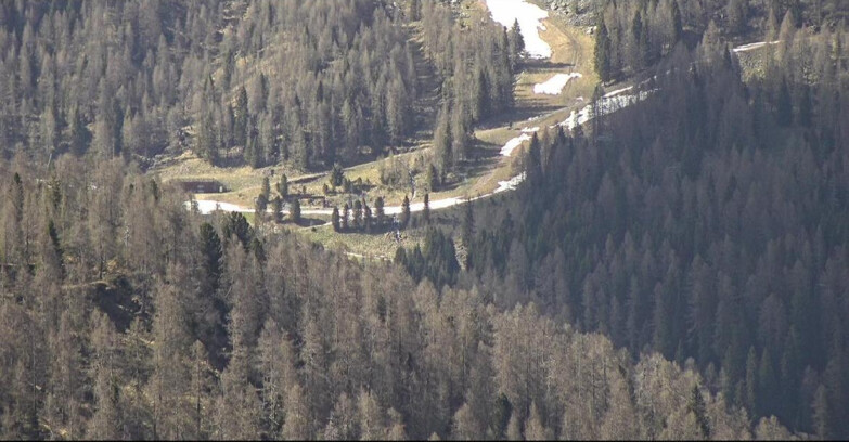 Webcam San Martino di Castrozza - Passo Rolle - Ces - Malga Valcigolera