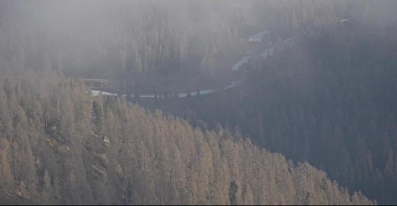 Webcam San Martino di Castrozza - Passo Rolle - Ces - Malga Valcigolera