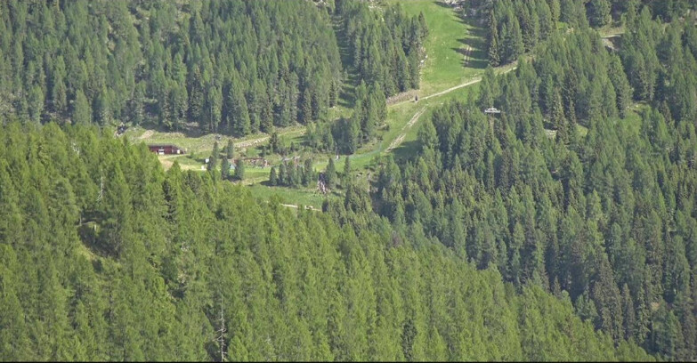 Webcam San Martino di Castrozza - Passo Rolle  - Ces - Malga Valcigolera