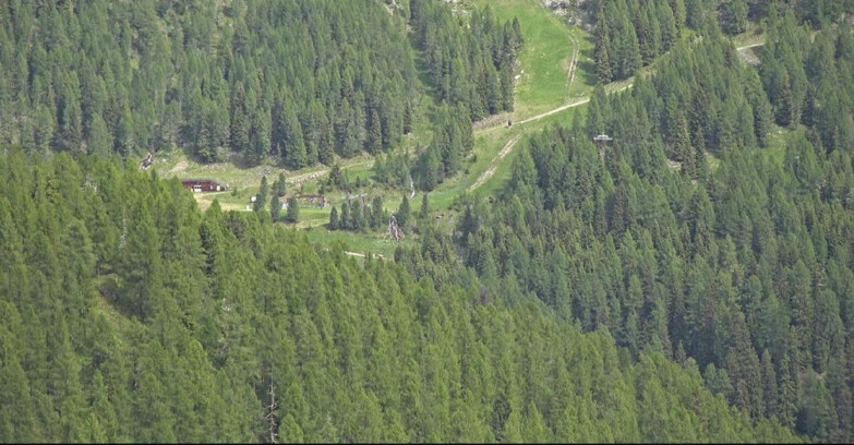 Webcam San Martino di Castrozza - Passo Rolle  - Ces - Malga Valcigolera