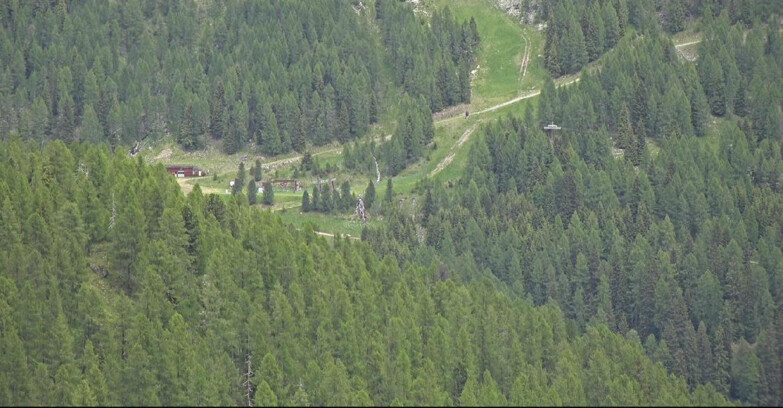 Webcam San Martino di Castrozza - Passo Rolle  - Ces - Malga Valcigolera