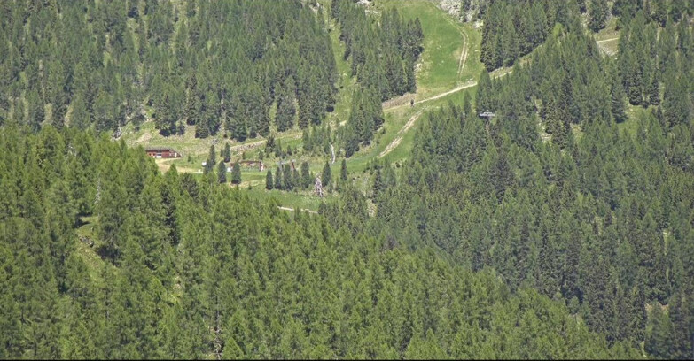 Webcam San Martino di Castrozza - Passo Rolle  - Ces - Malga Valcigolera