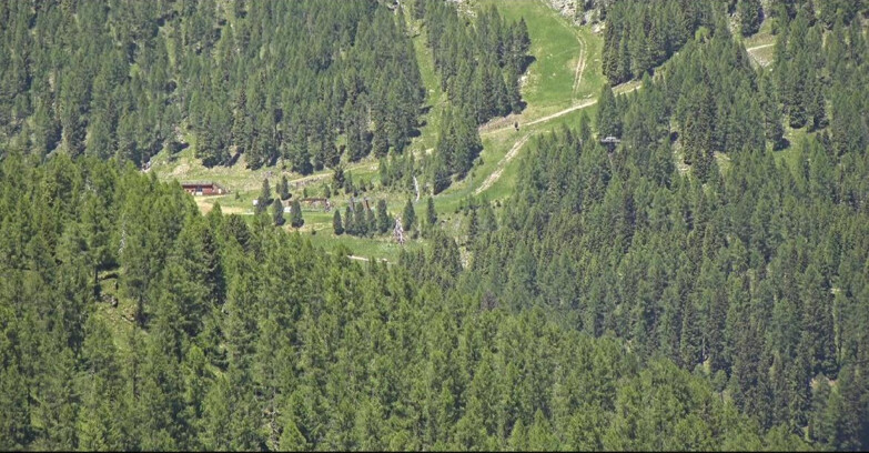 Webcam San Martino di Castrozza - Passo Rolle  - Ces - Malga Valcigolera