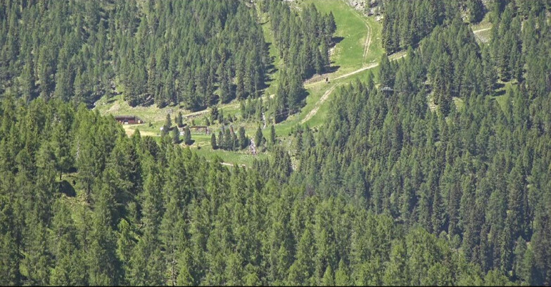 Webcam San Martino di Castrozza - Passo Rolle  - Ces - Malga Valcigolera
