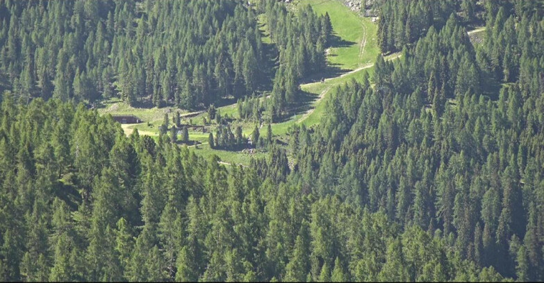 Webcam San Martino di Castrozza - Passo Rolle  - Ces - Malga Valcigolera