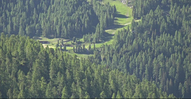 Webcam San Martino di Castrozza - Passo Rolle  - Ces - Malga Valcigolera