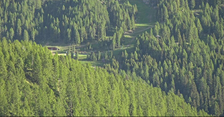 Webcam San Martino di Castrozza - Passo Rolle  - Ces - Malga Valcigolera